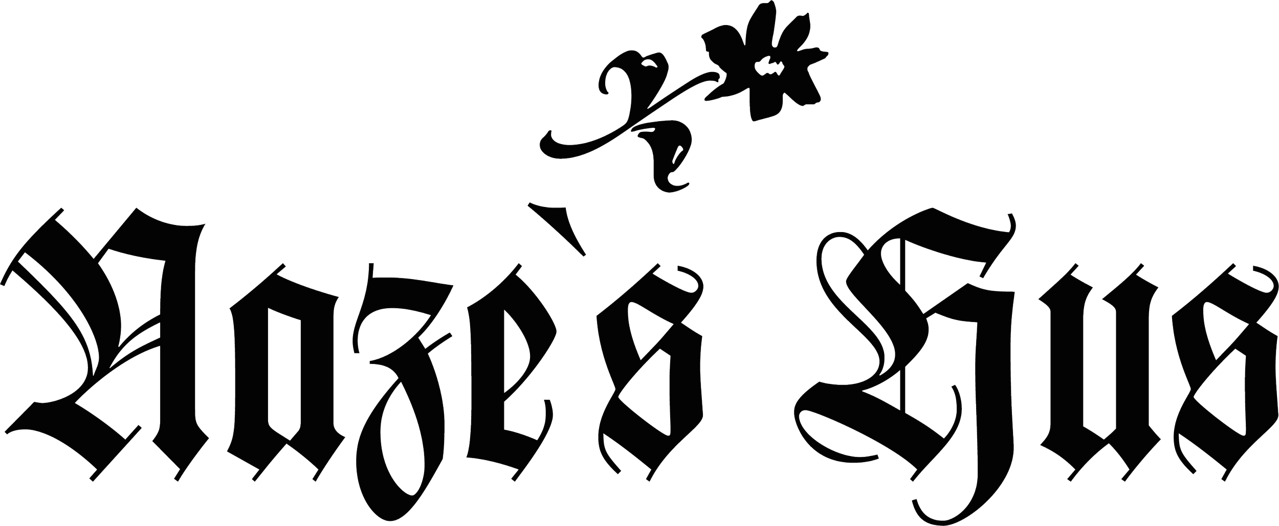 Logo Nazes Hus