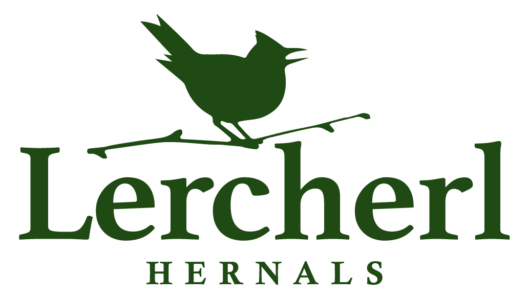 Logo Zum Lercherl von Hernals