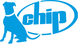 Logo Blue Chip