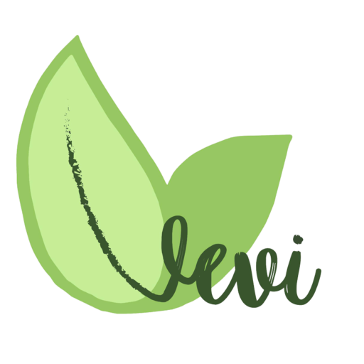 Logo Vevi Graz – veganes vietnamesisches Restaurant